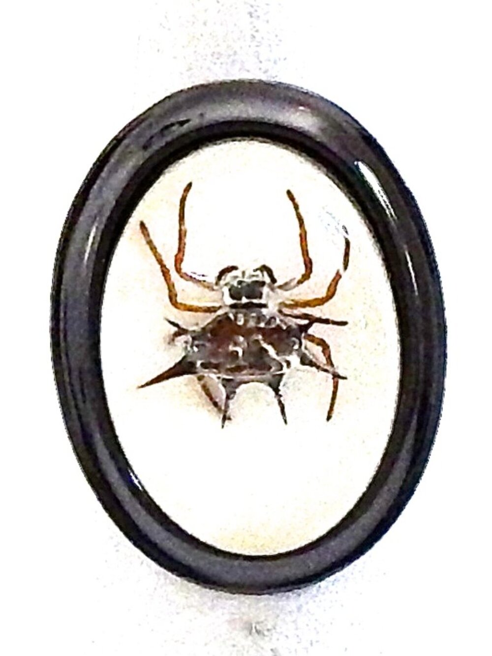 GASOLINE GLAMOUR SPINY SPIDER MINI RING 🕷️🕸️